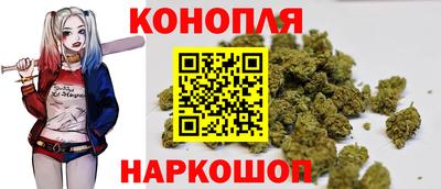 шишки Пенза