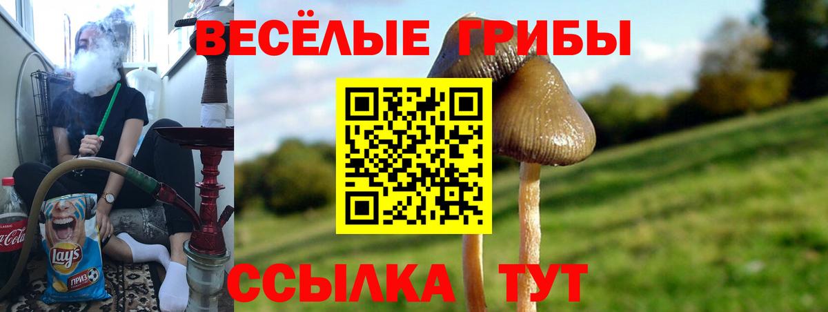 Галлюциногенные грибы ЛСД Тверь